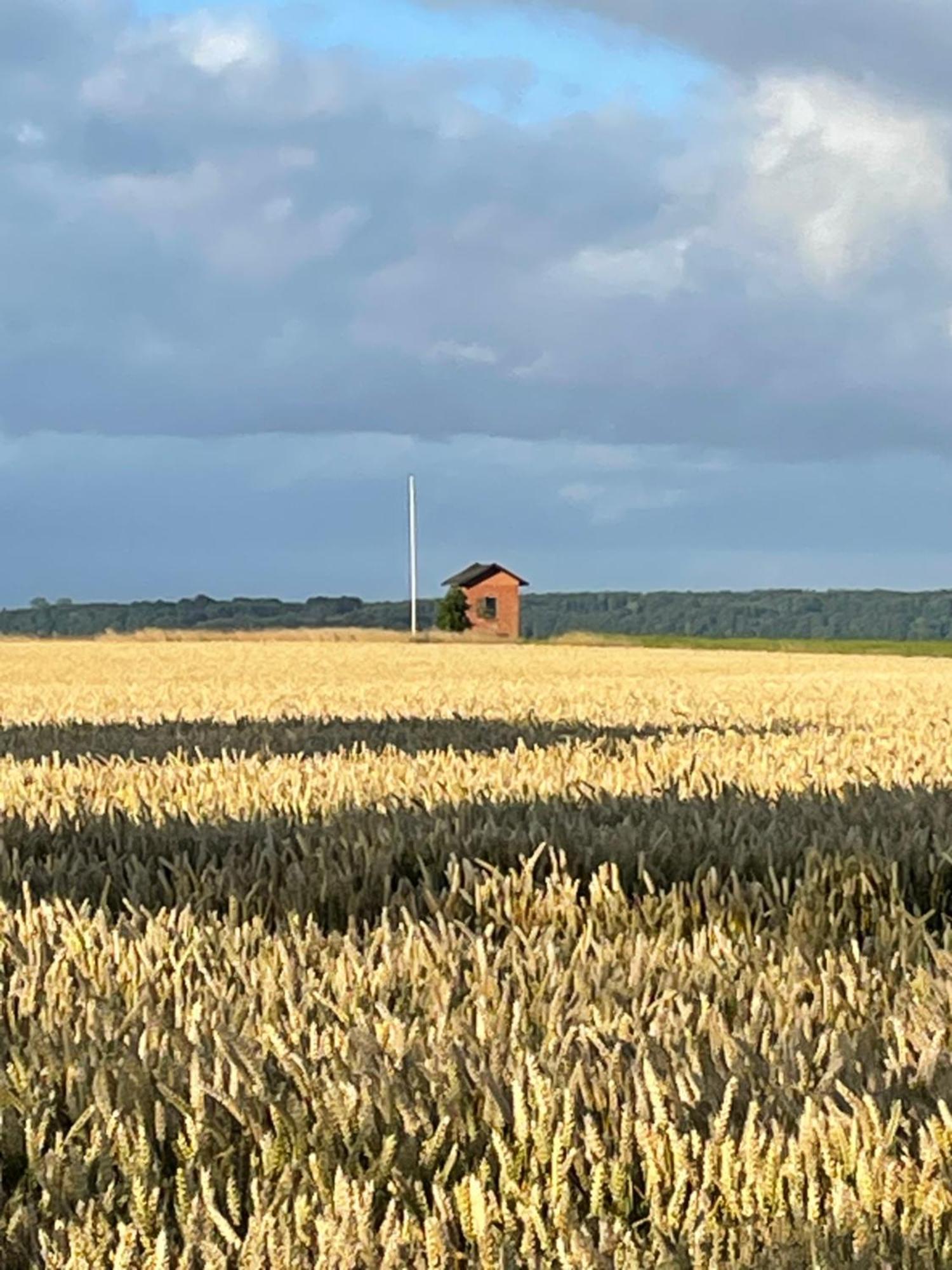 Sovgodt Nyord - Primitiv Overnatning Esterno foto